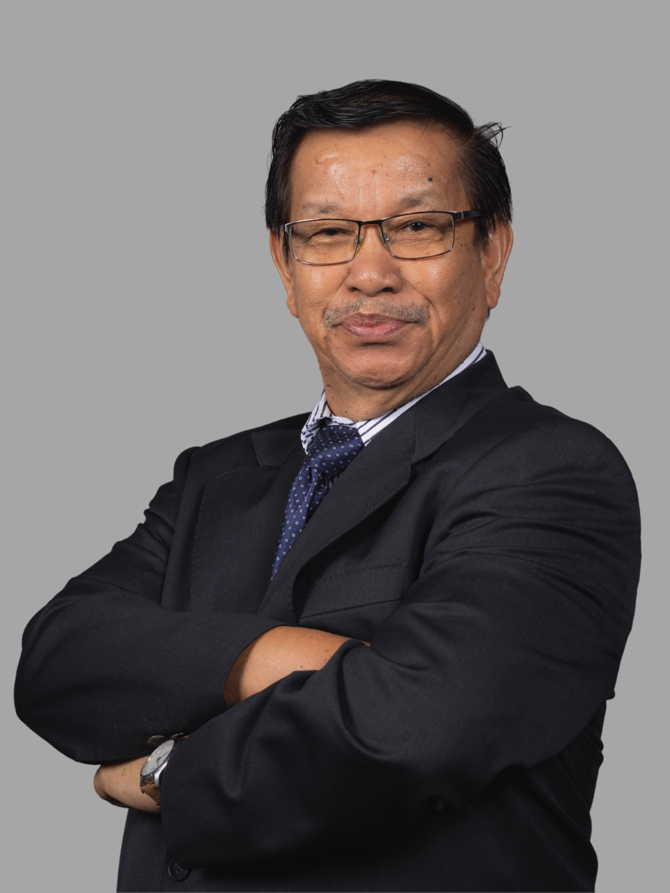 Professor Dr. Abu Hassan Bin Md Isa